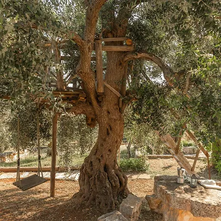 Traditional Trullo With Pool * Ostuni