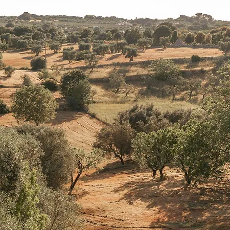 Casa vacanze Traditional Trullo With Pool *